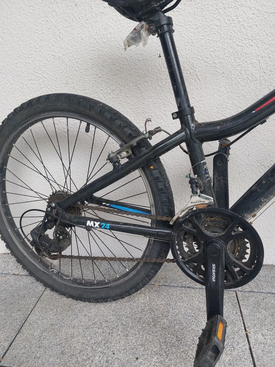 Child Bike Ridgeback MX24 - Image 4