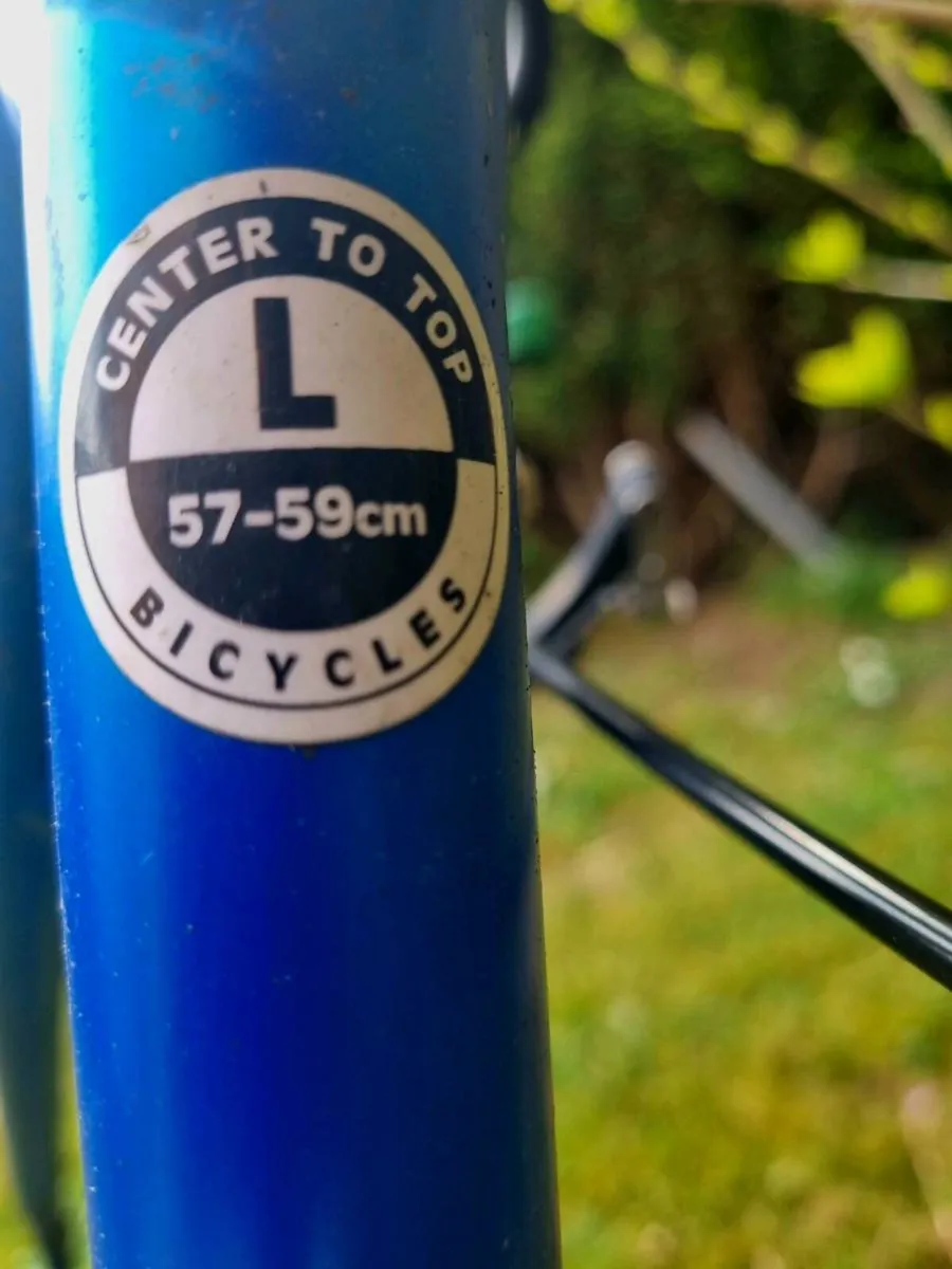 Bike Freme only - Image 3