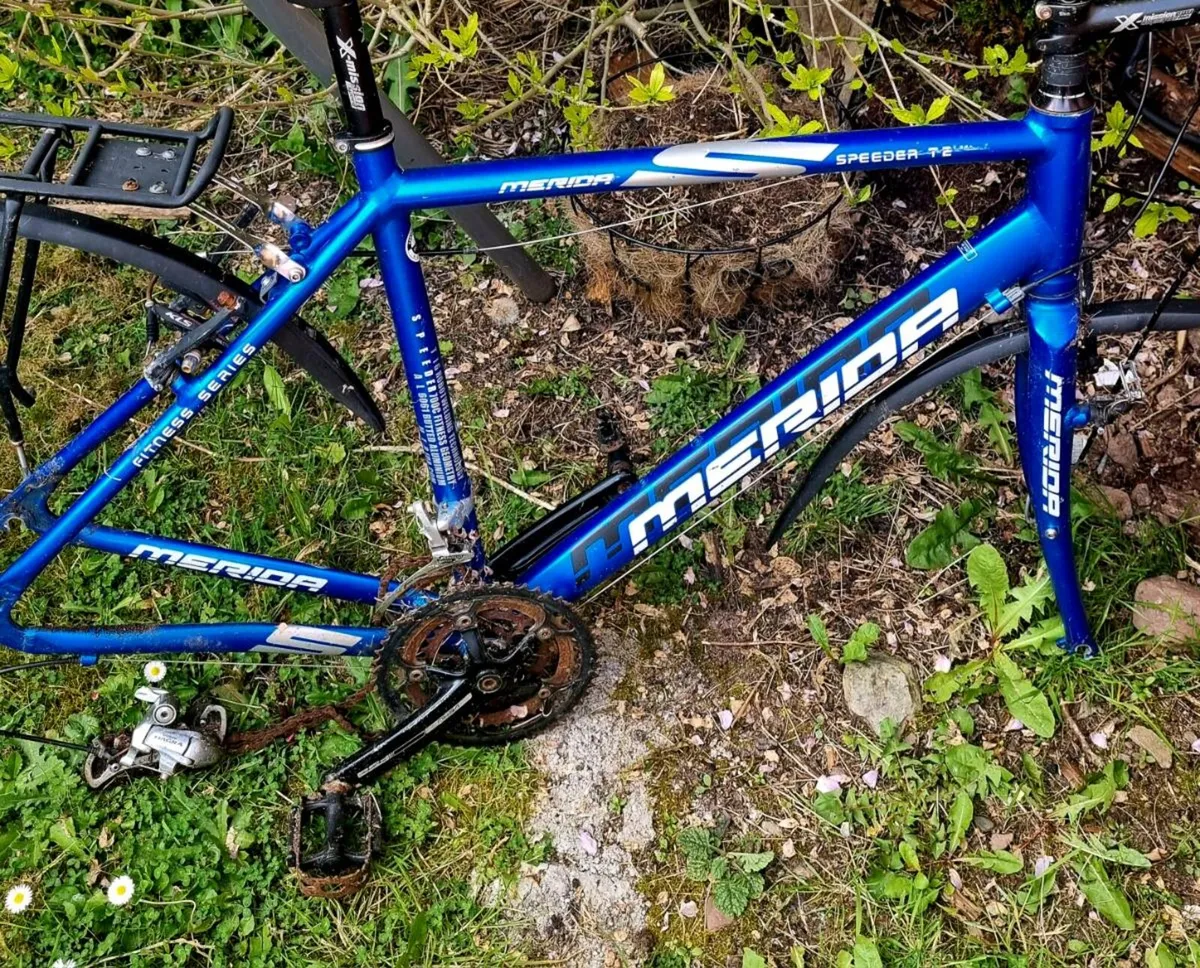 Bike Freme only - Image 1