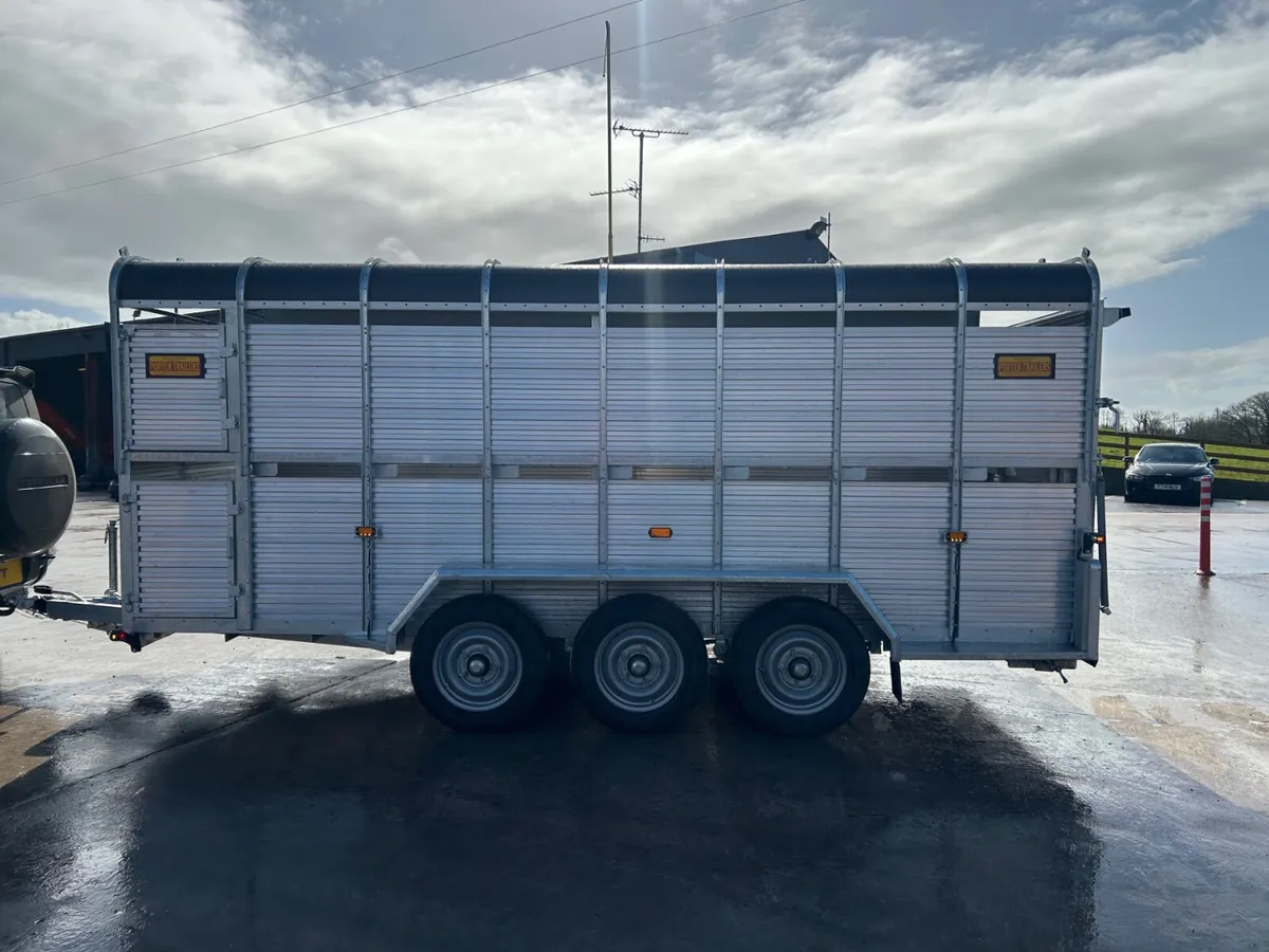 New Porter Cattle Trailer 16x6 - Image 3