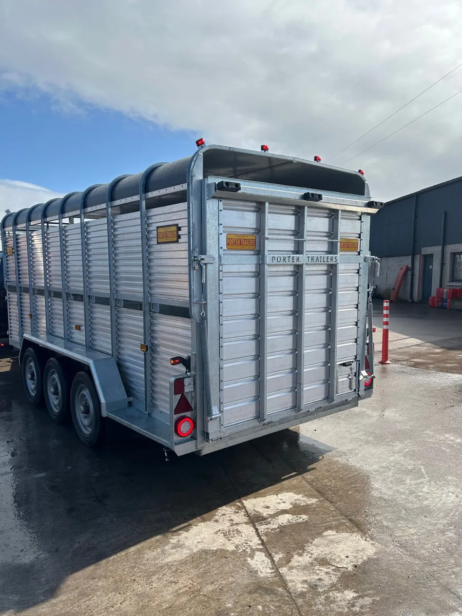 New Porter Cattle Trailer 16x6 - Image 4
