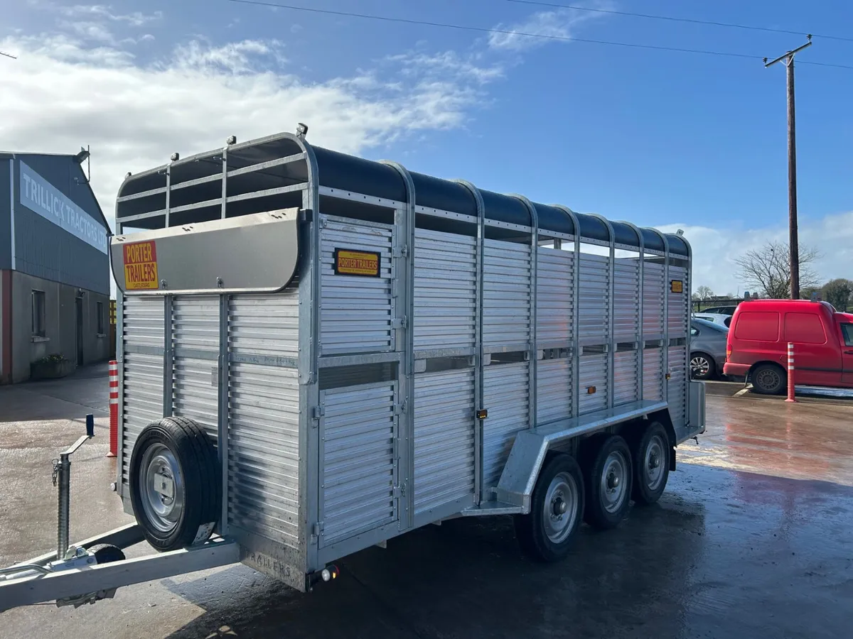 New Porter Cattle Trailer 16x6 - Image 2