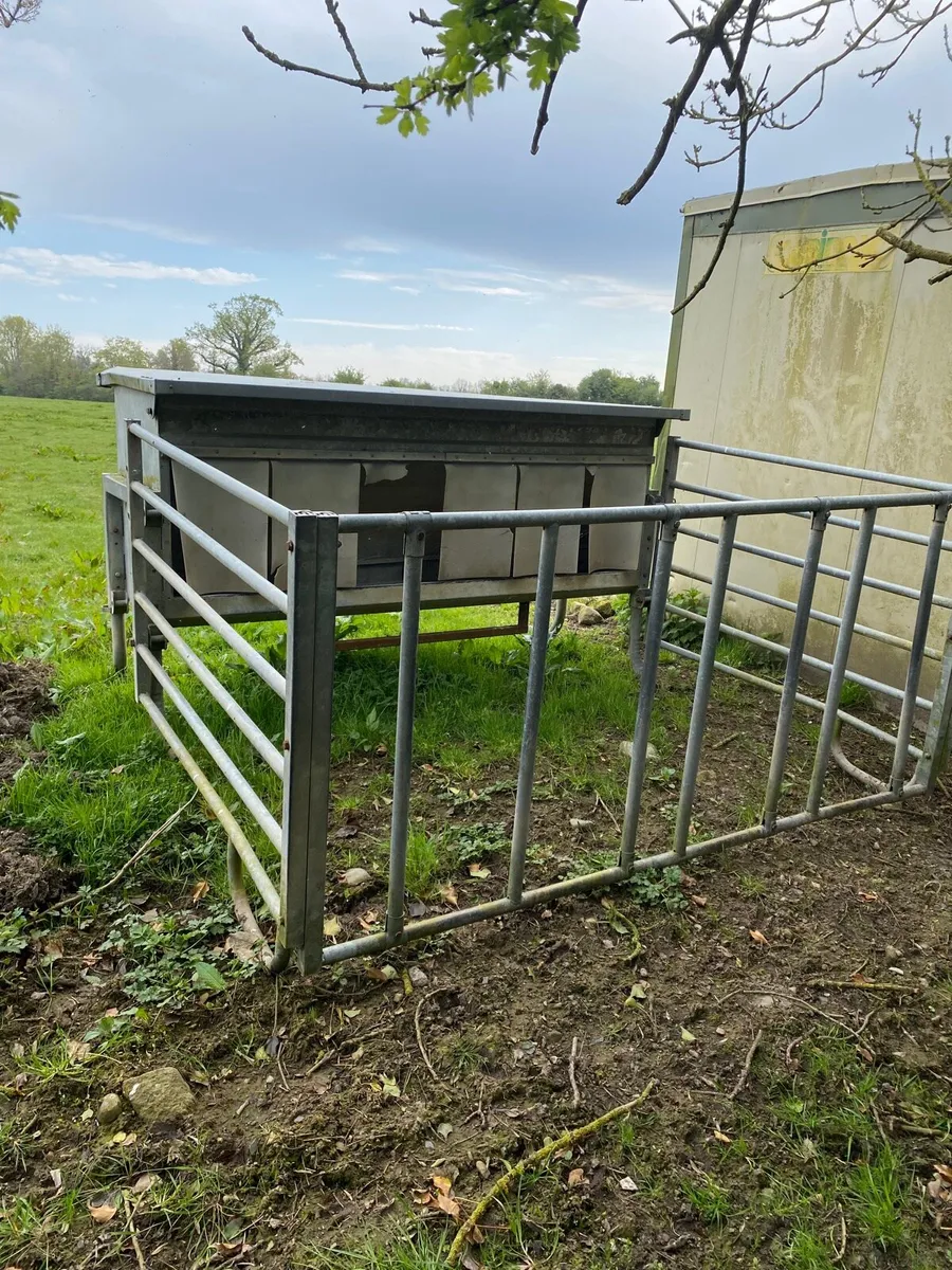 Condon galvanised creep feeder - Image 3