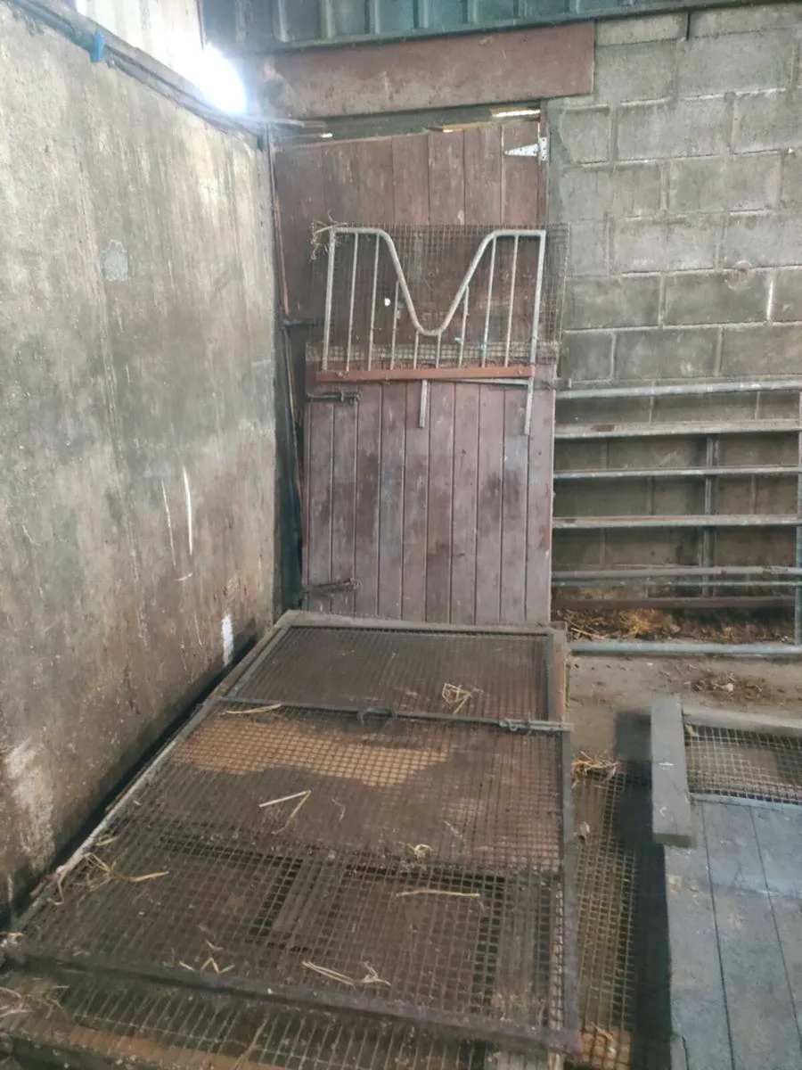 Yard clearance - Image 1