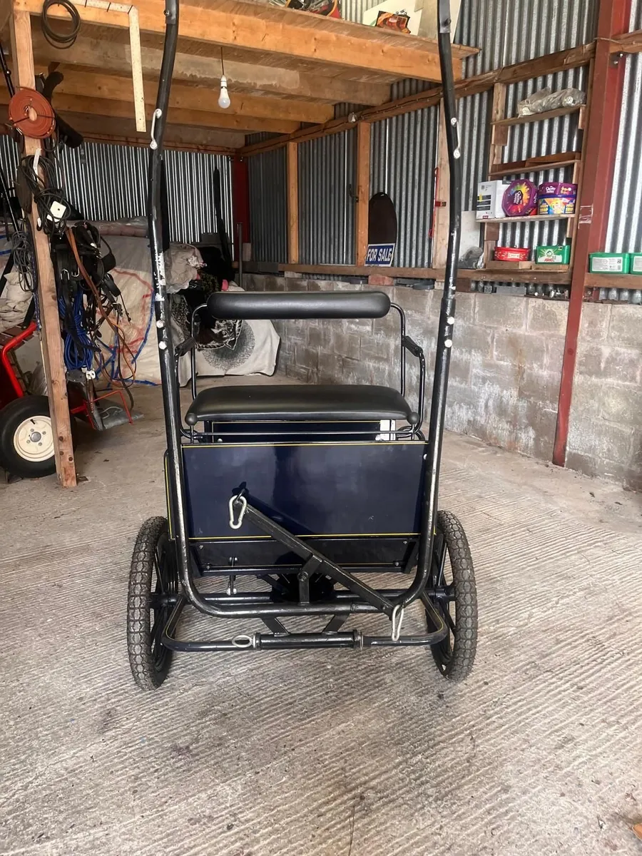 Horse Carriage - Image 1