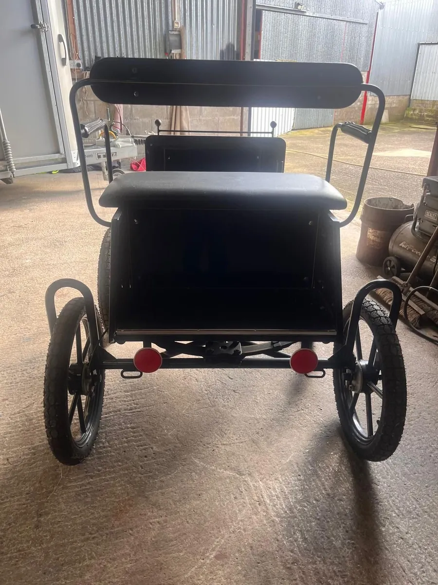 Horse Carriage - Image 2