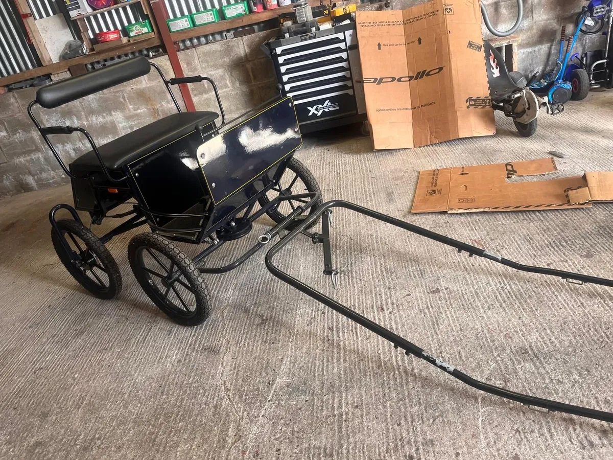 Horse Carriage - Image 3