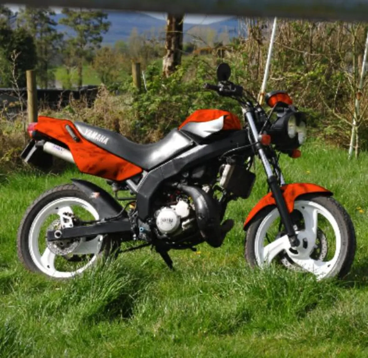 Mower mechanic, small engine repairs. - Image 2