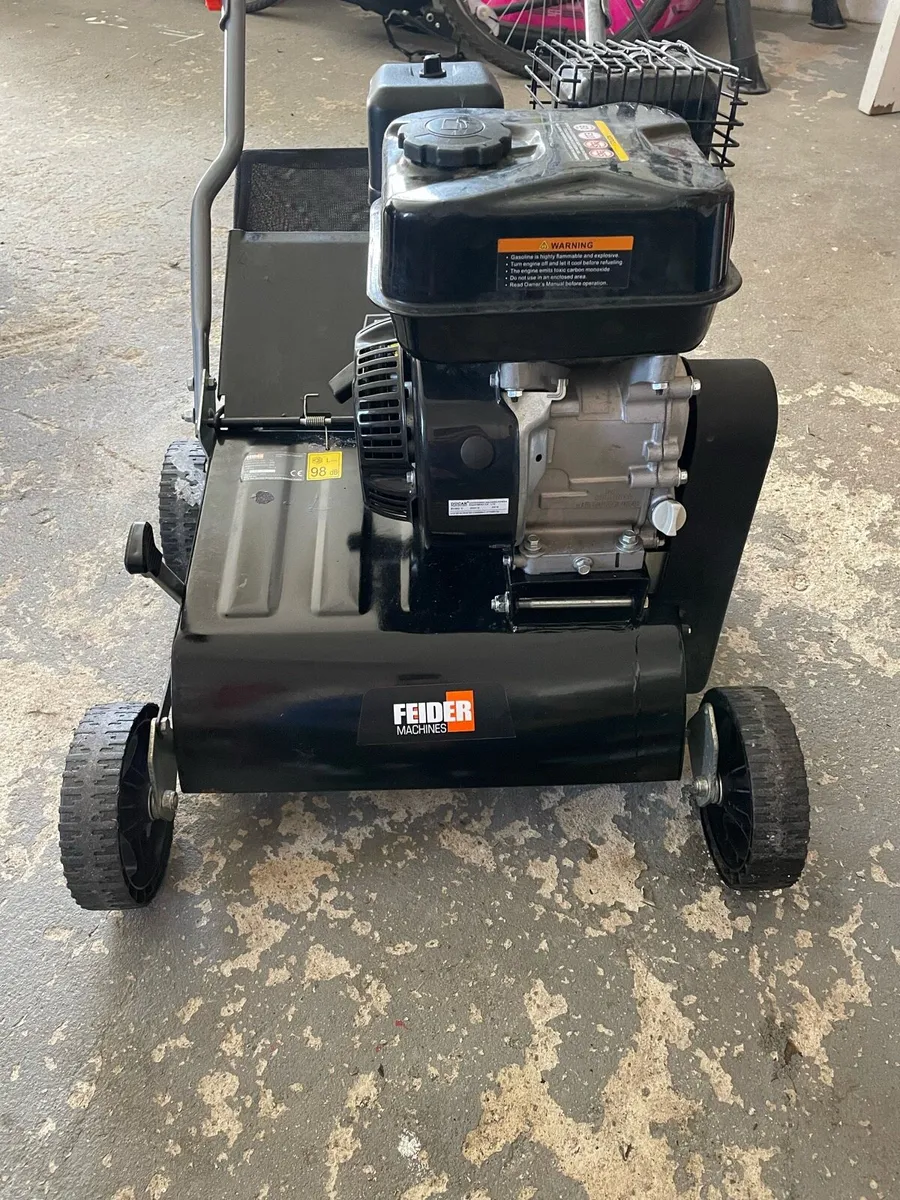 Lawn scarifier - Image 1