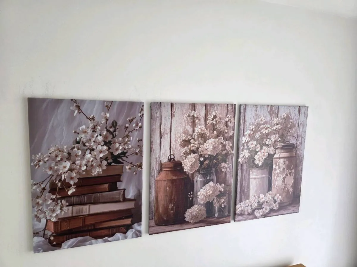3 framed canvas 45x65cm each - Image 1