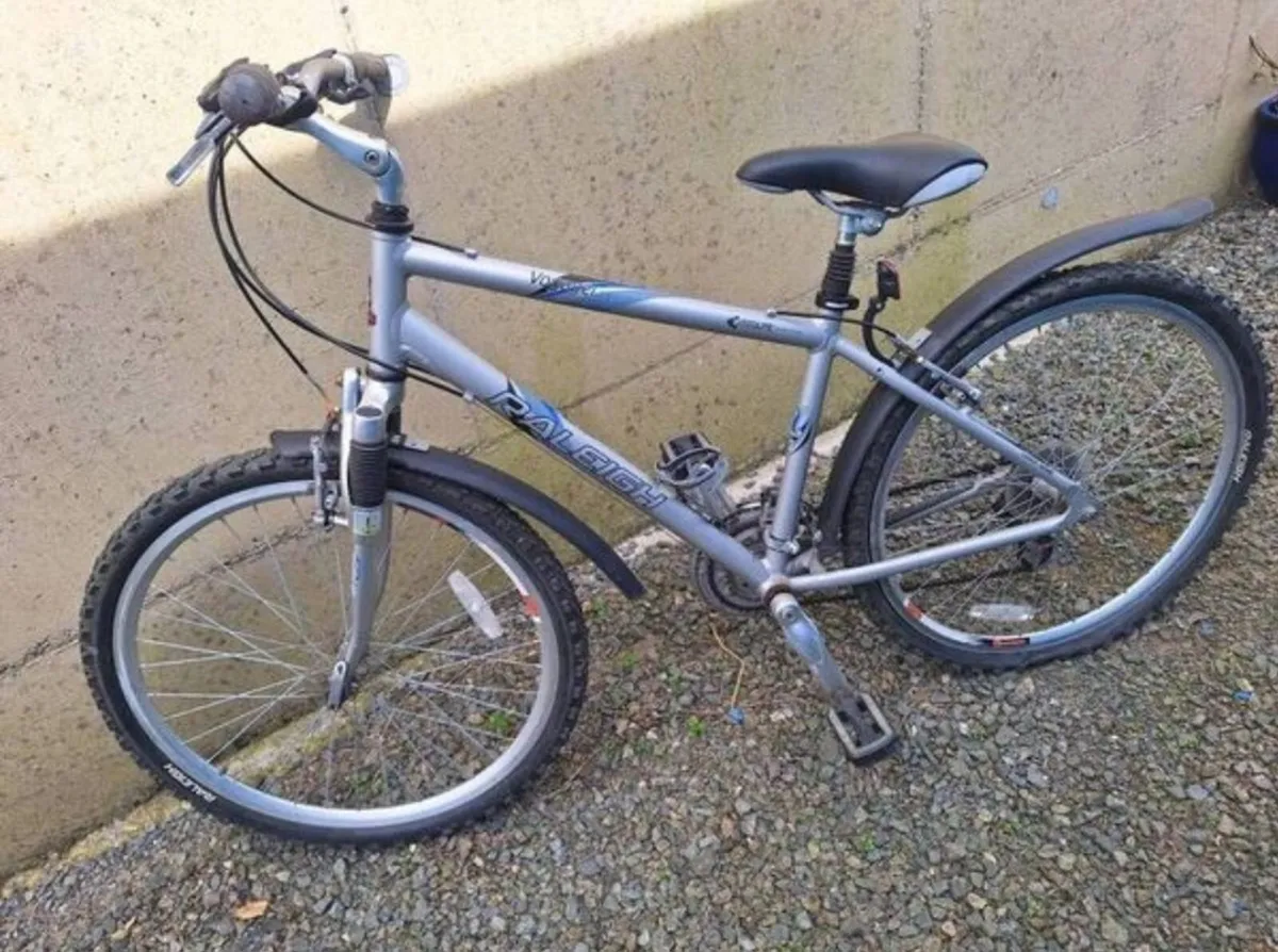 Raleigh bike - Image 1