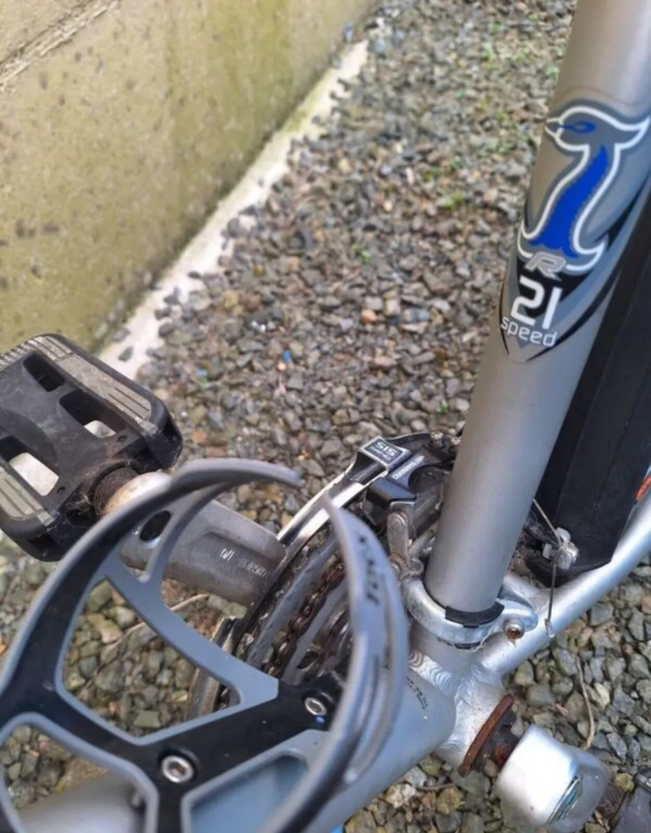 Raleigh bike - Image 2