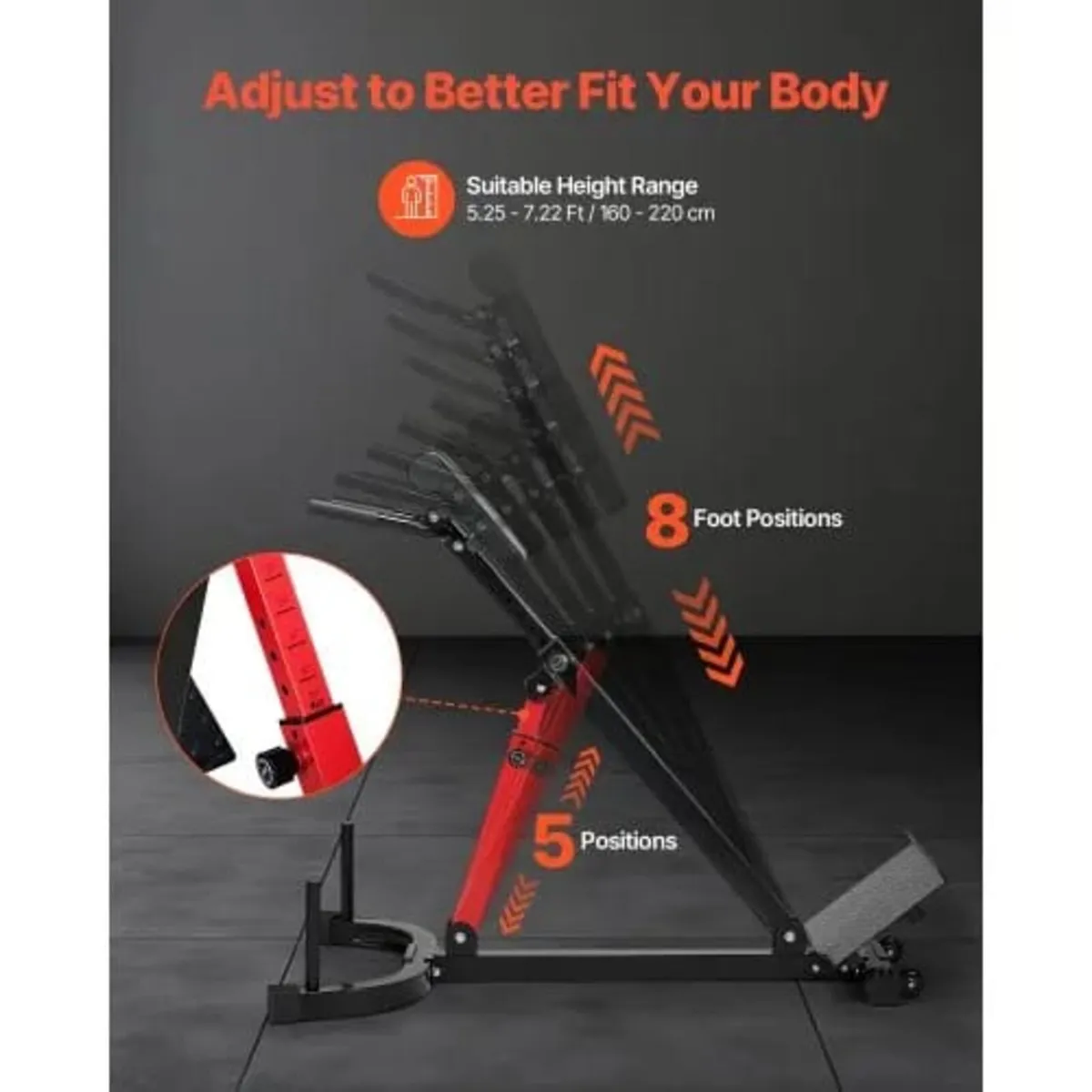 Roman Chair Hyperextension Bench, 350 lbs Adjustab - Image 3