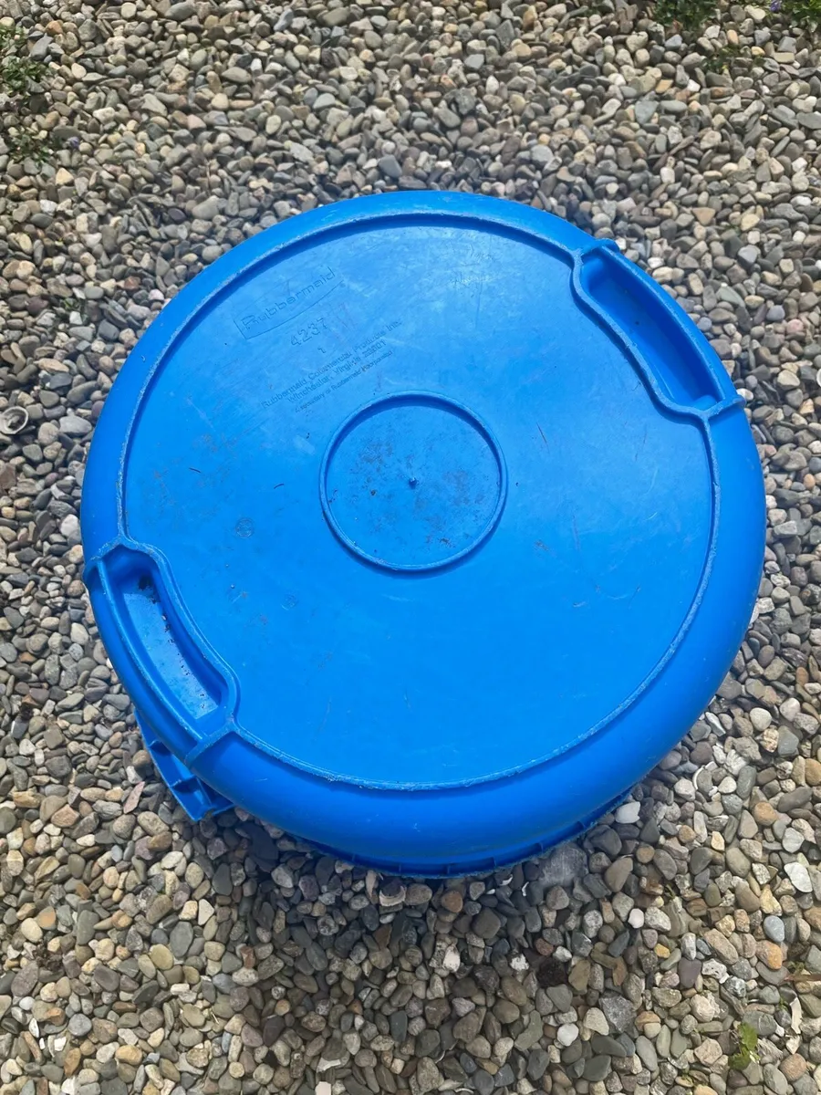 For Quick sale - Image 3