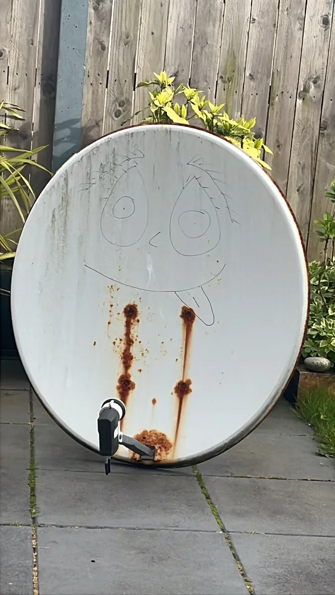 Satellite dish with LNB - Image 1