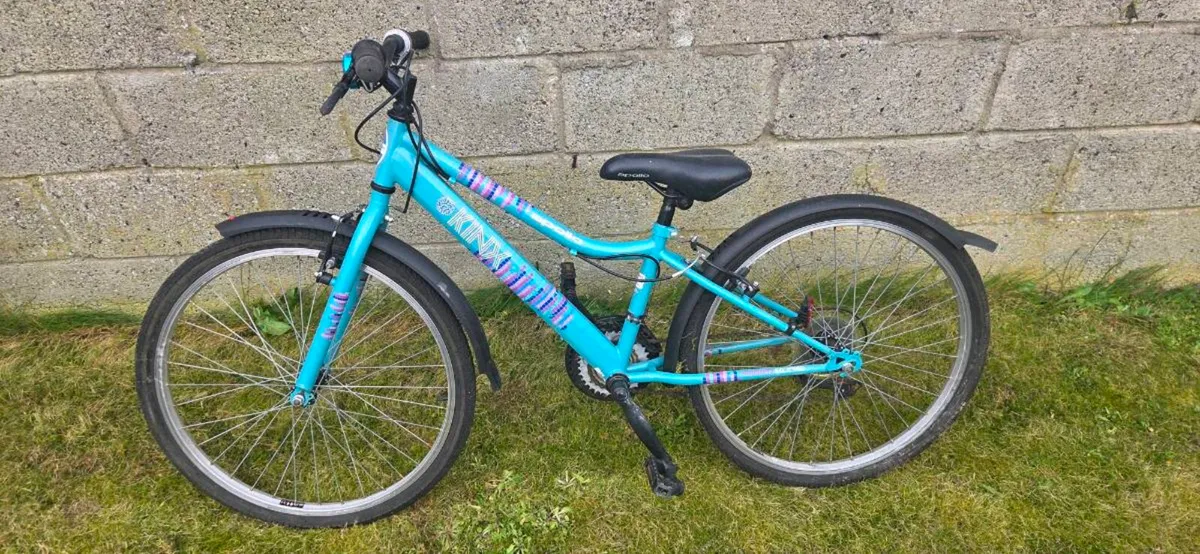 Bikes for free - Image 3