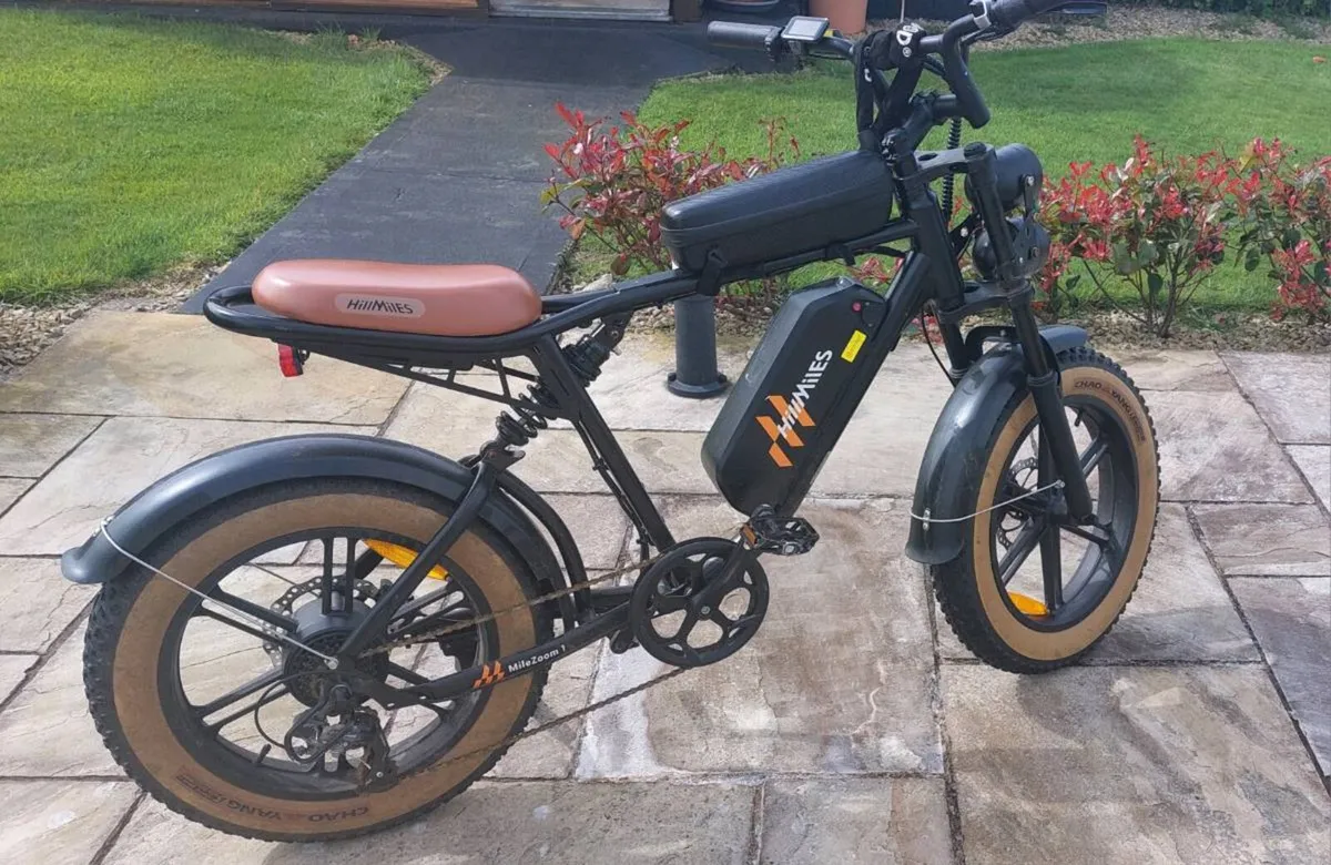 Electric bike - Image 1