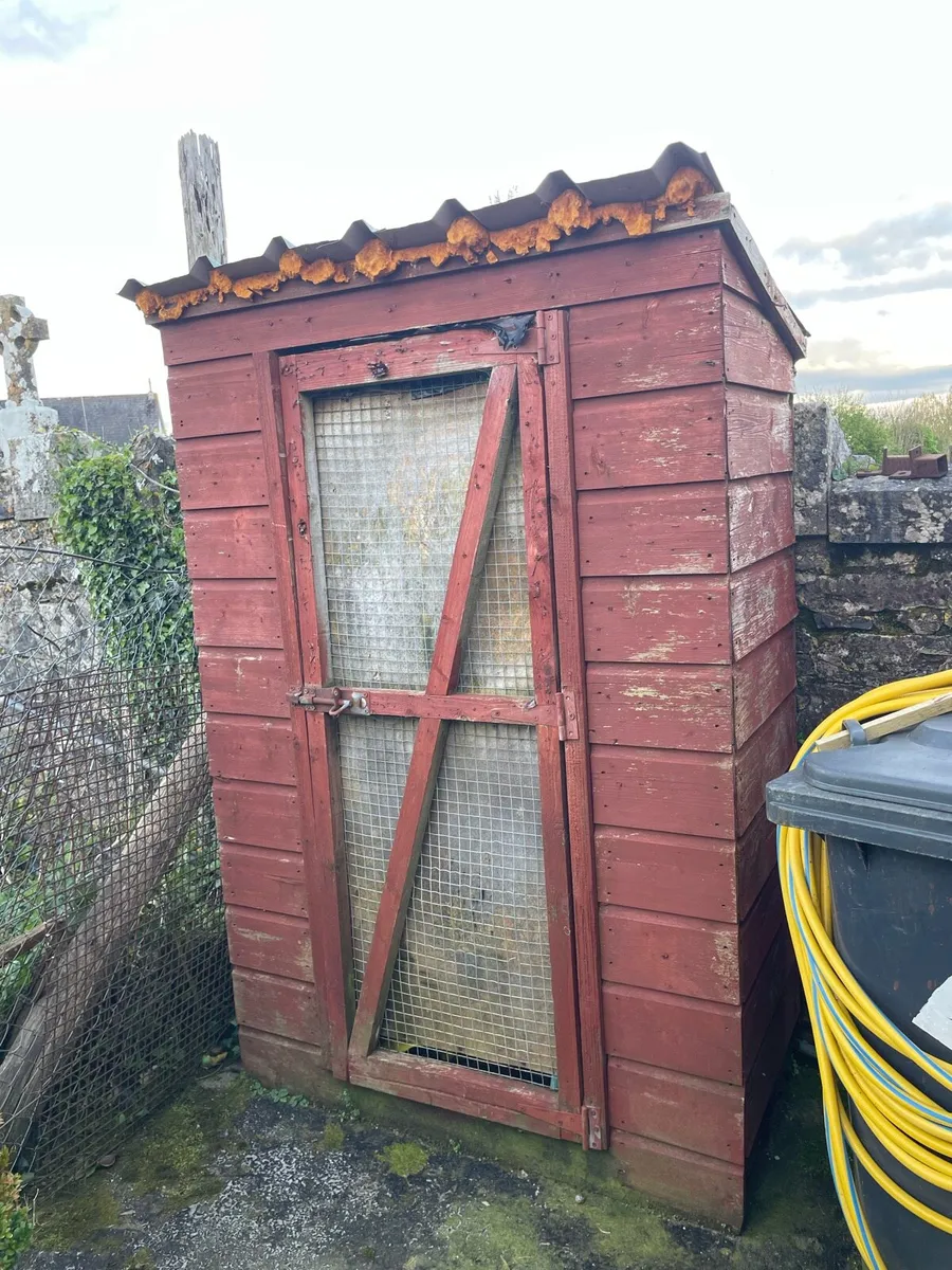 Small shed was used for housing cats - Image 1