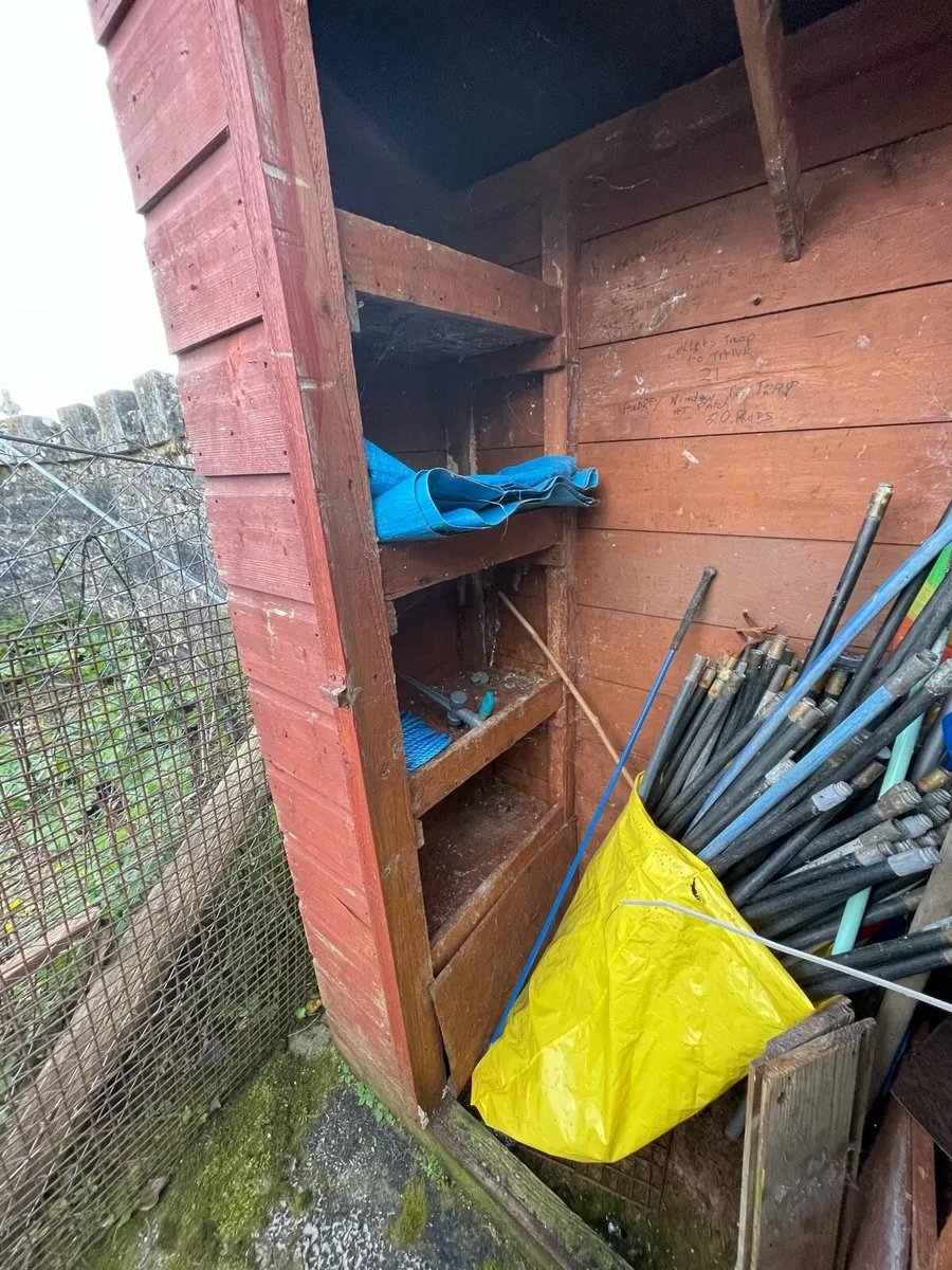 Small shed was used for housing cats - Image 2