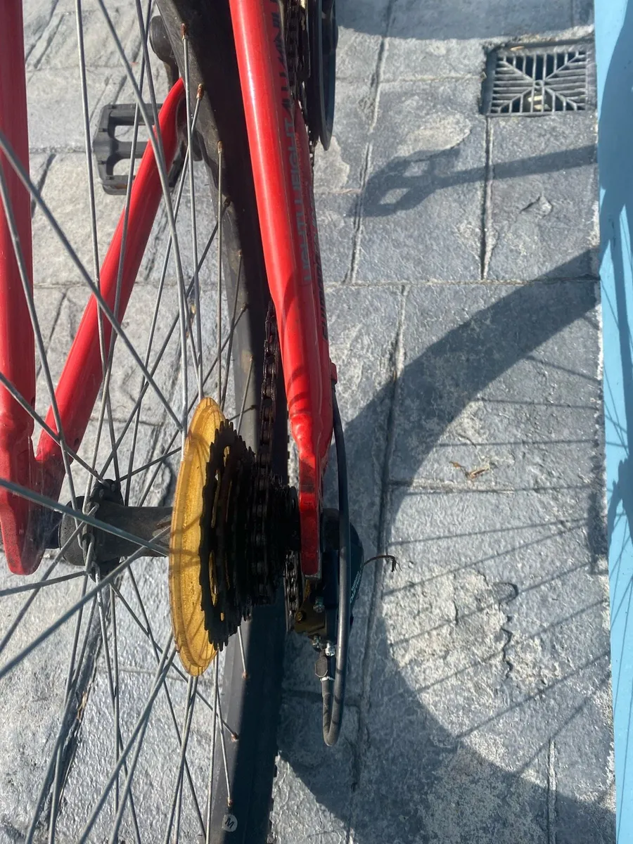 Adult mounts bike for sale - Image 3