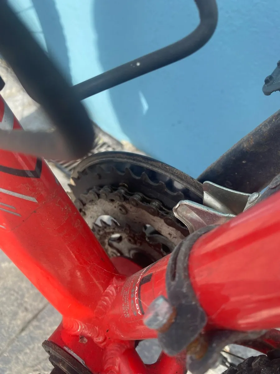 Adult mounts bike for sale - Image 4