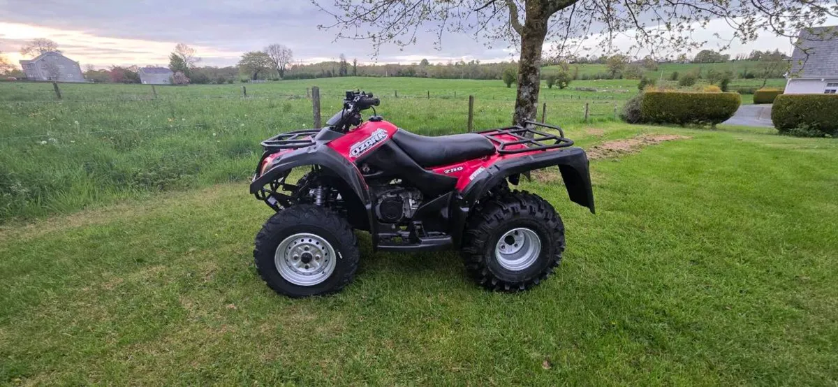 Suzuki Ozark 250 - Image 2