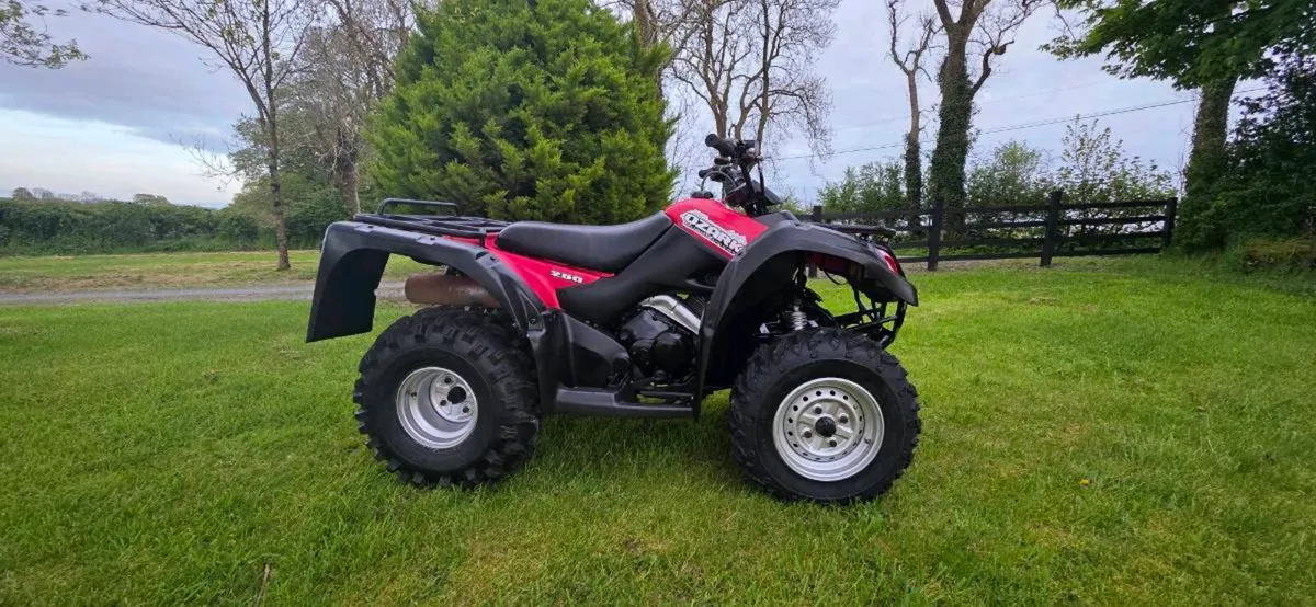 Suzuki Ozark 250 - Image 3