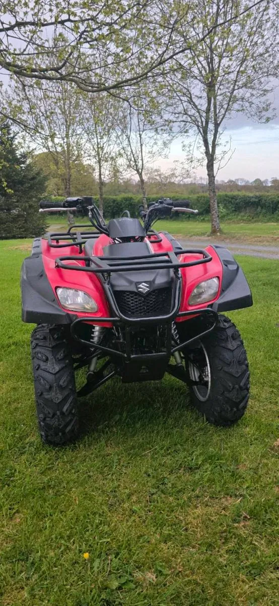 Suzuki Ozark 250 - Image 4