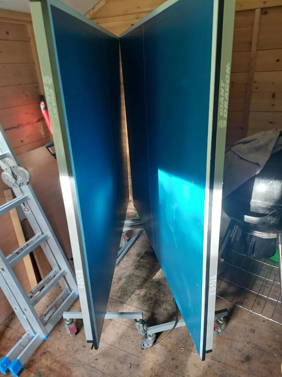 Table tennis - Image 3