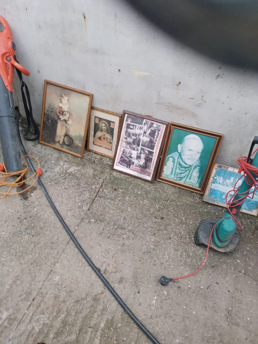 Shed clear out - Image 1