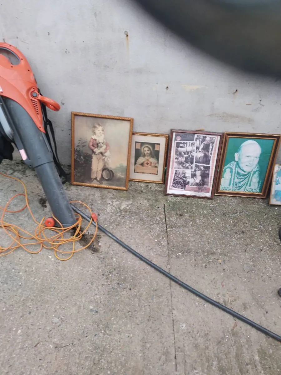 Shed clear out - Image 4