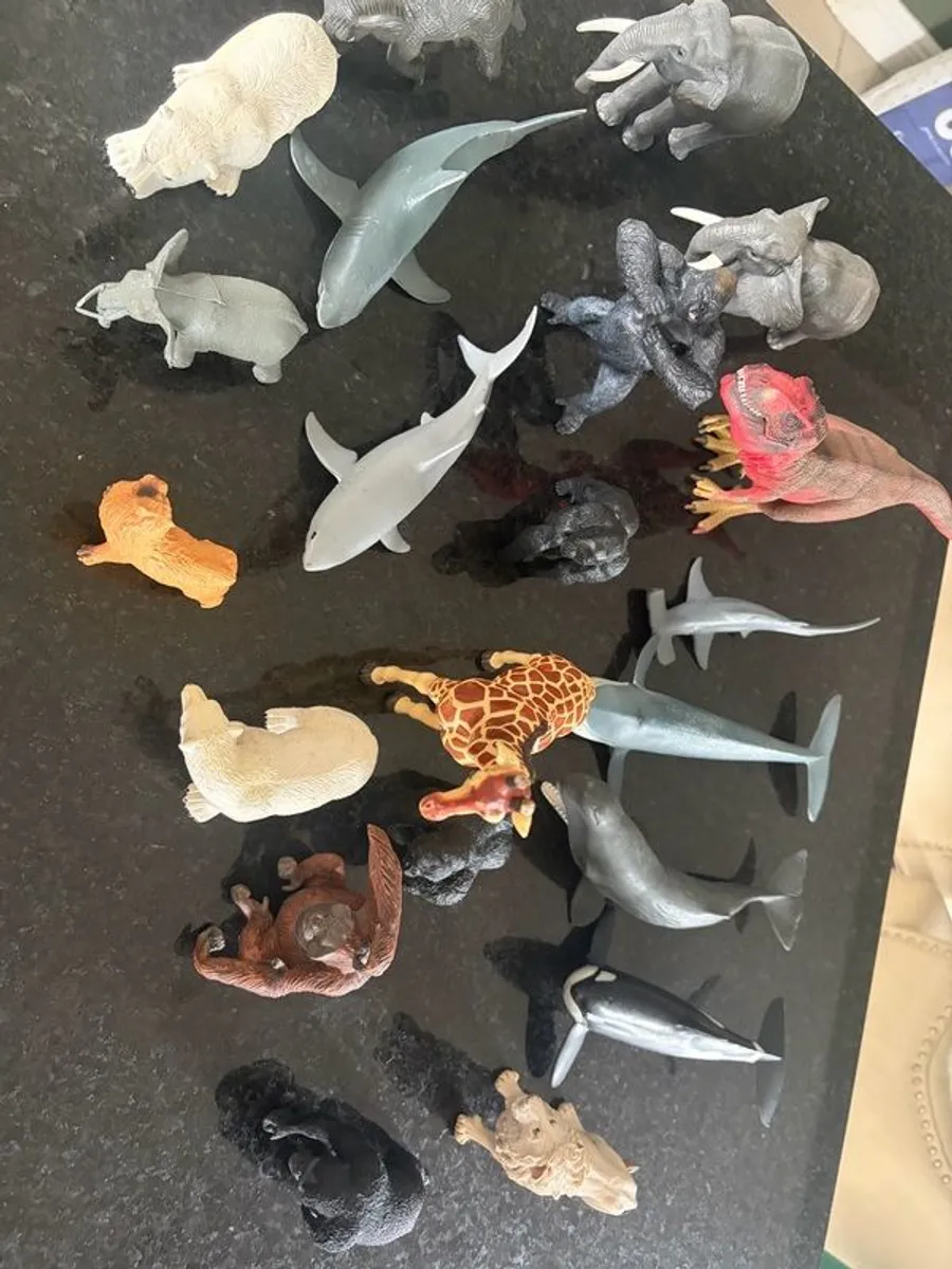 animals