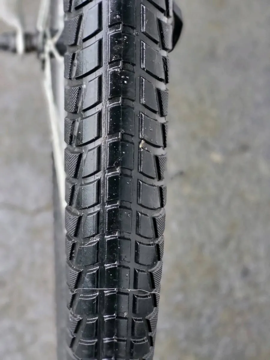 GENTS CARERRA PARVA NO OFFERS - Image 2