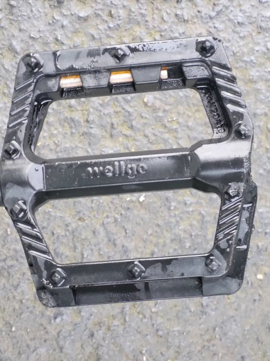 GENTS CARERRA PARVA NO OFFERS - Image 4