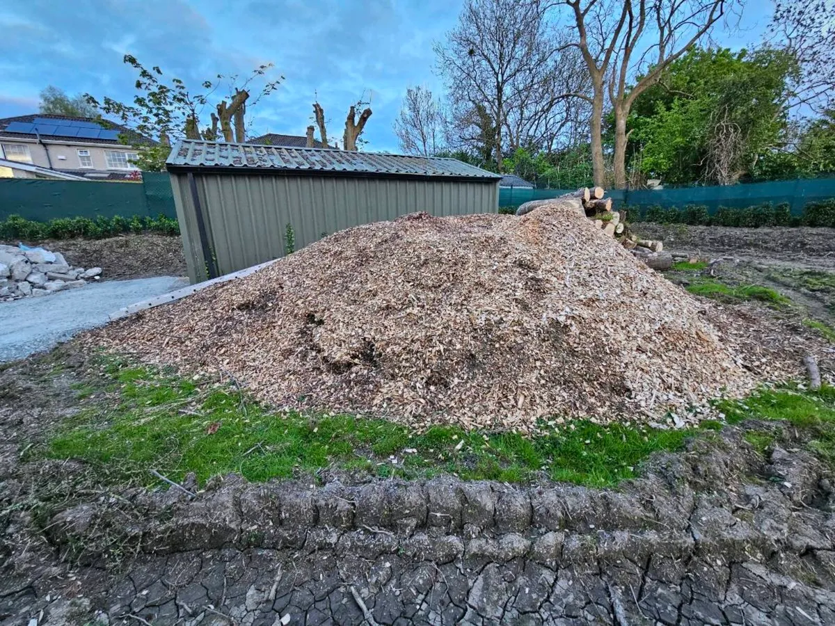 Tree bark Mulch FREE - Image 1