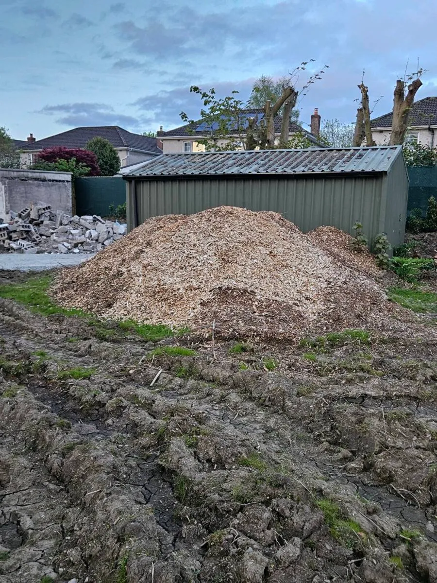 Tree bark Mulch FREE - Image 3