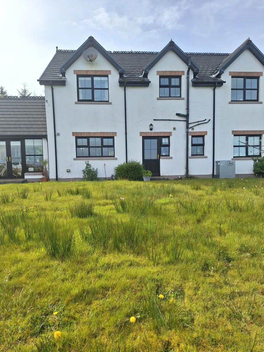 Doors and windows - Image 3