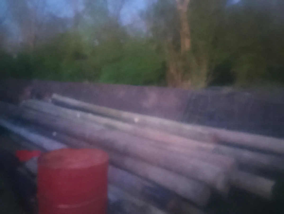 Telegraph poles - Image 1