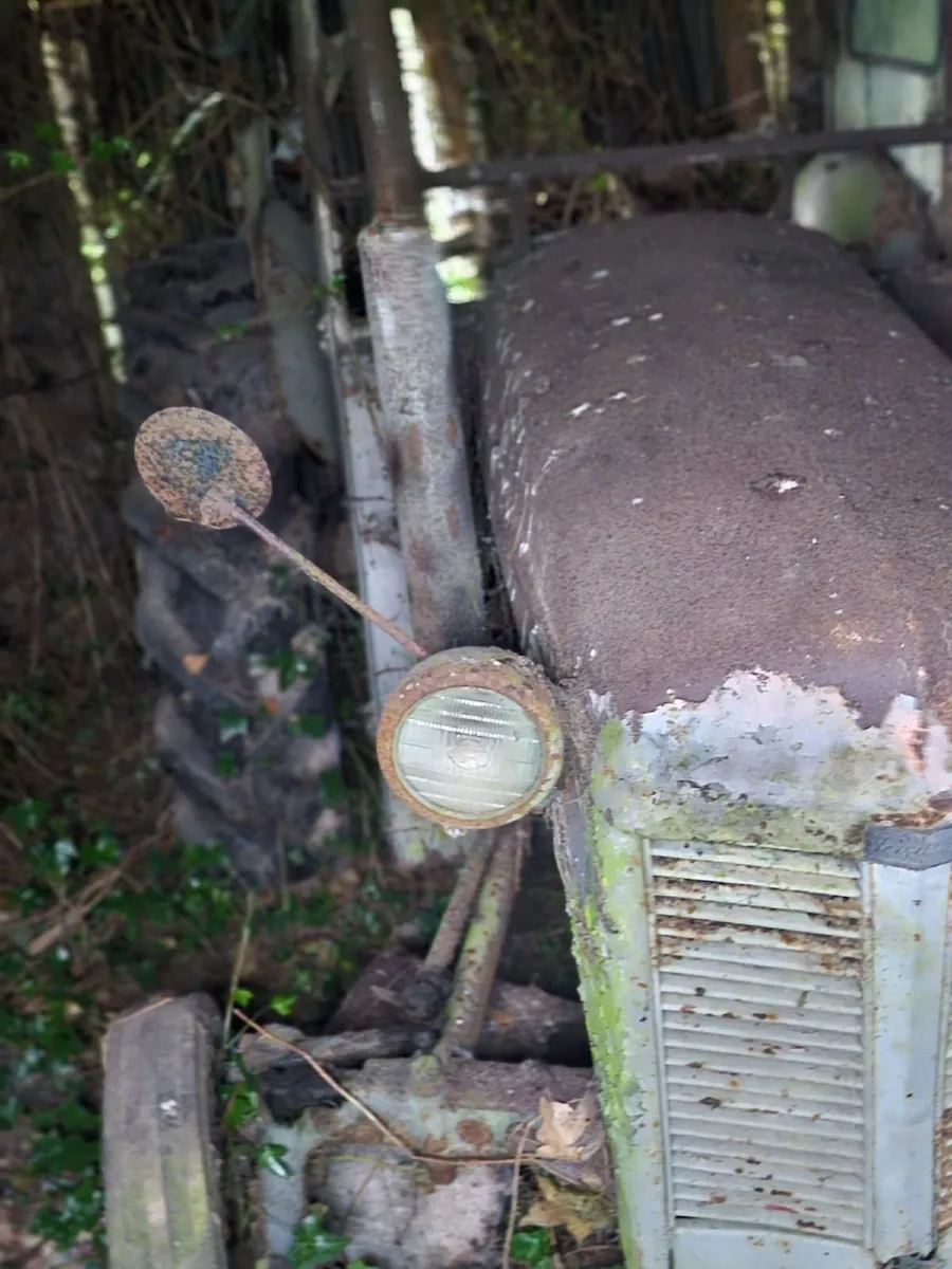 Tractor for Sale - Image 3