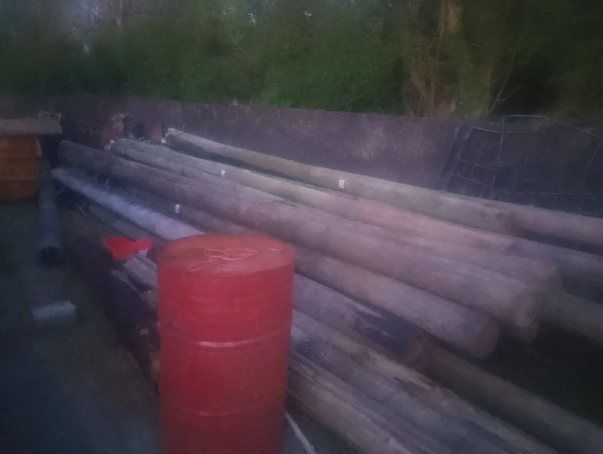 Telegraph poles - Image 2