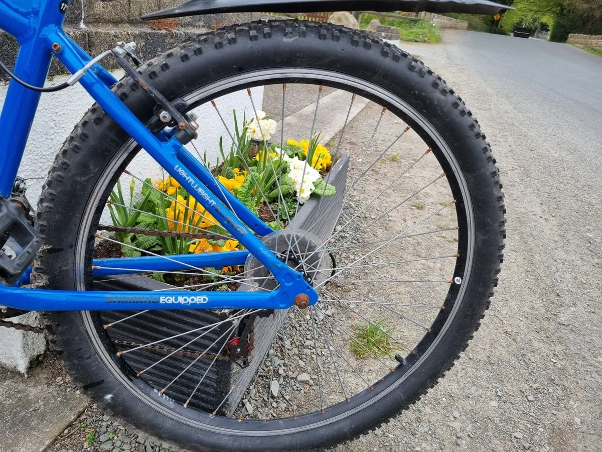 Mountain Bike - Image 2