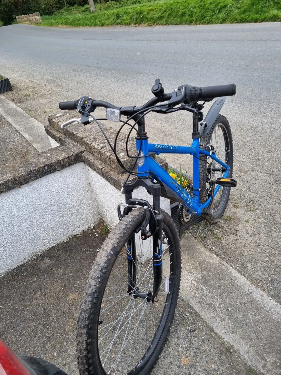 Mountain Bike - Image 3