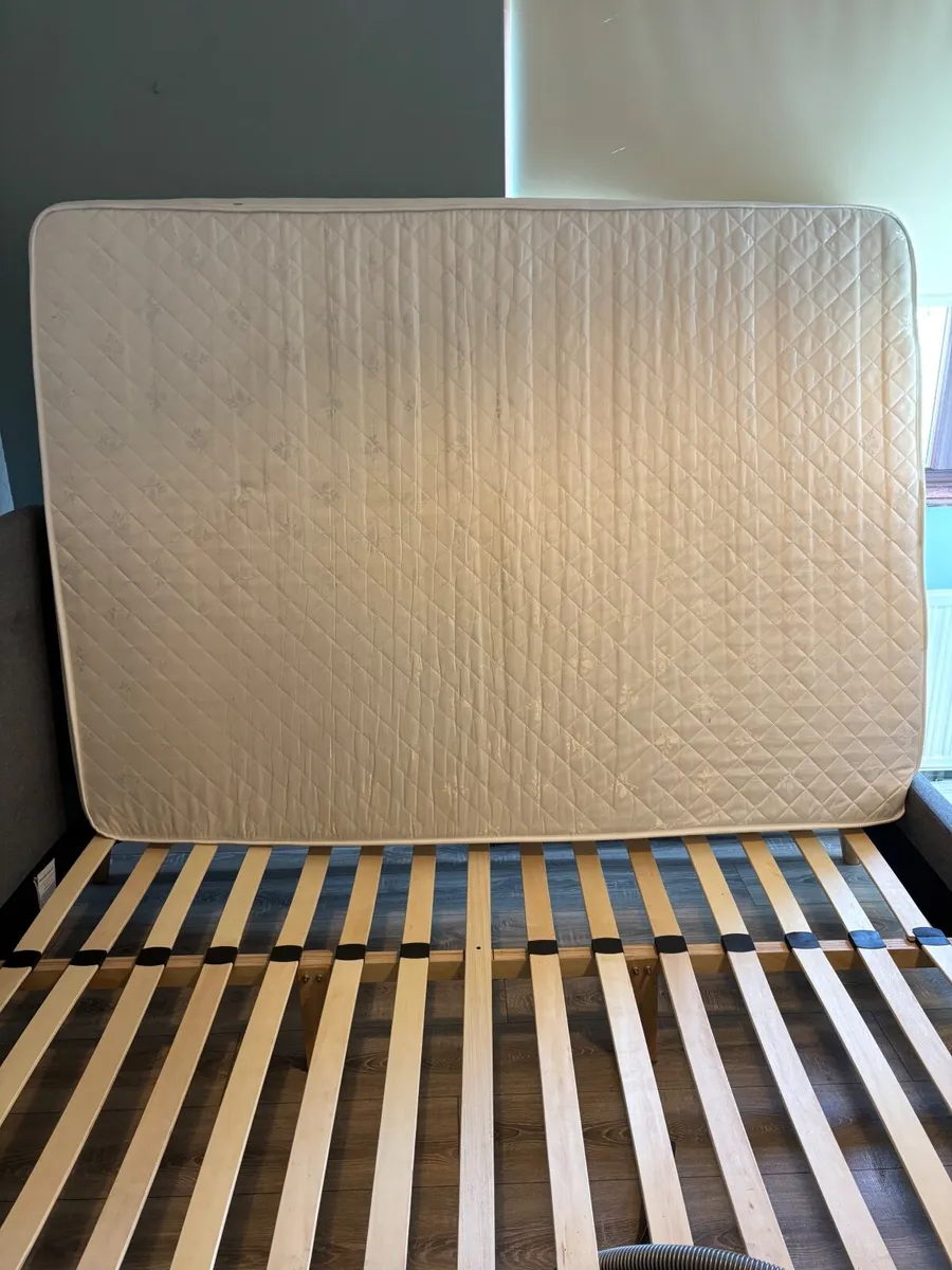 Double Junior Bed (FREE) - Image 4