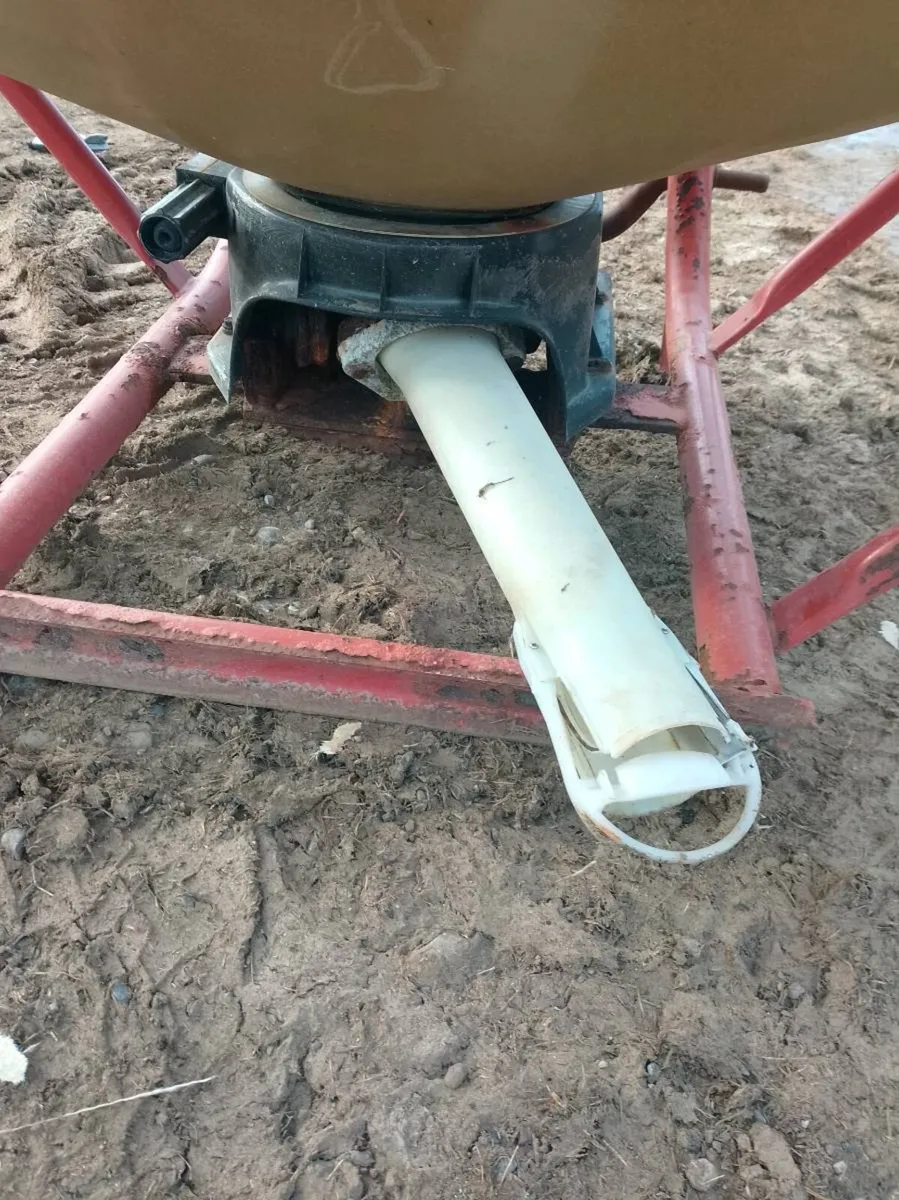 Abbey wagger - Image 2