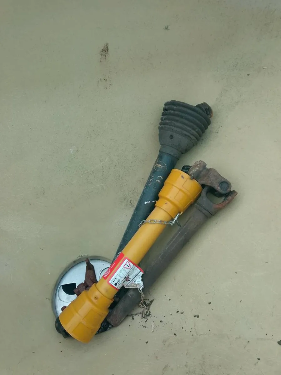 Abbey wagger - Image 3