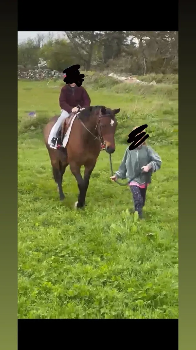 Beginners pony - Image 3