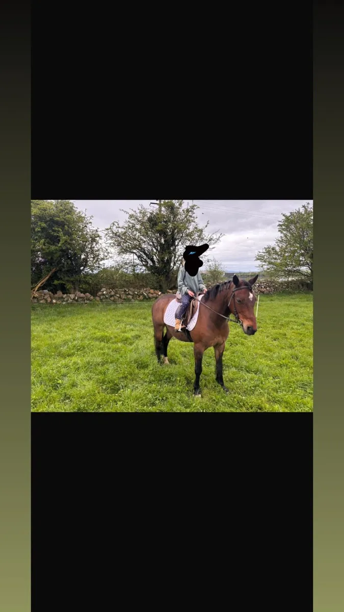 Beginners pony - Image 2