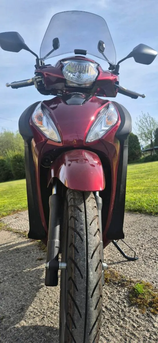 Honda vision 110 - Image 4