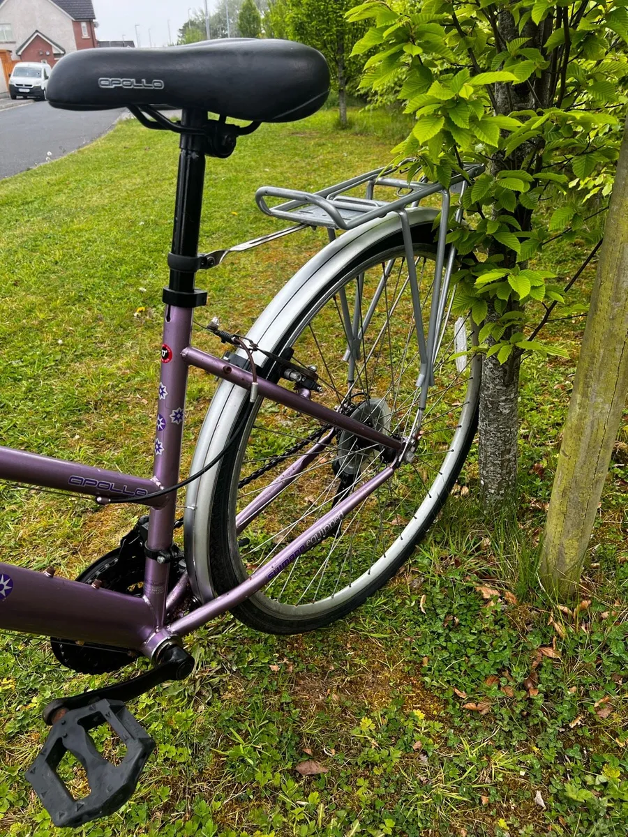 LADIES APPOLO HAZE ( FULLY SERVICED ) - Image 4