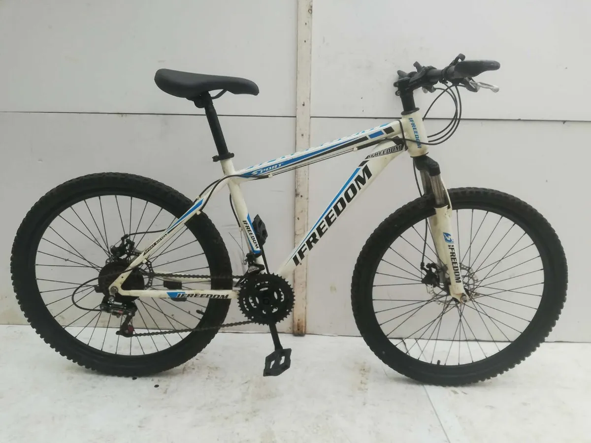 IFREEDOM BIKE - Image 1